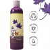 Buy maple holistics sage shampoo for anti dandruff – safe for color treated hair (8 fl. Oz.) Imported from USA