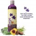 Buy maple holistics sage shampoo for anti dandruff – safe for color treated hair (8 fl. Oz.) Imported from USA