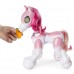 Buy zoomer Show Pony Online in Pakistan