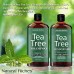 Buy Sulfate Free Anti Dandruff Tea-Tree-Oil Shampoo And Conditioner Set Imported From USA